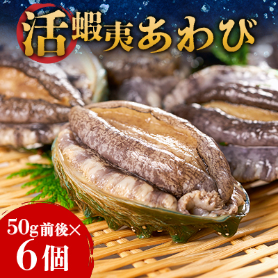 活き蝦夷あわび　6個【配送不可地域：離島・北海道・沖縄・東北・中国・四国・九州】【1442546】