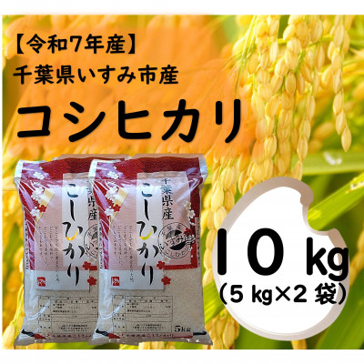 【令和7年産米】 千葉県いすみ市産 コシヒカリ精米10kg(5kg×2袋)【1546629】