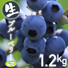 いすみのブルーベリー【配送不可地域：離島】【1388556】