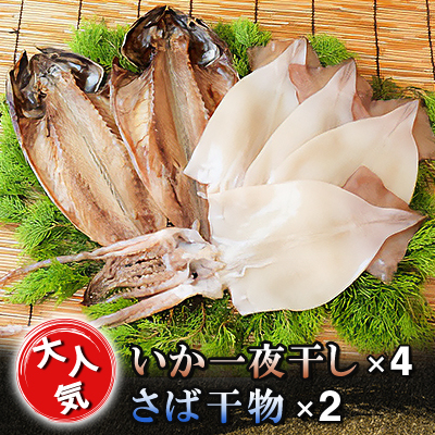 海の直売所アルファ　大人気!いか一夜干し・さば干物セット【配送不可地域：離島】【1116237】
