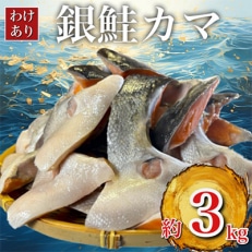 【訳あり】人気海鮮お礼品 銀鮭カマ 約3kg【配送不可地域:離島】【1389618】