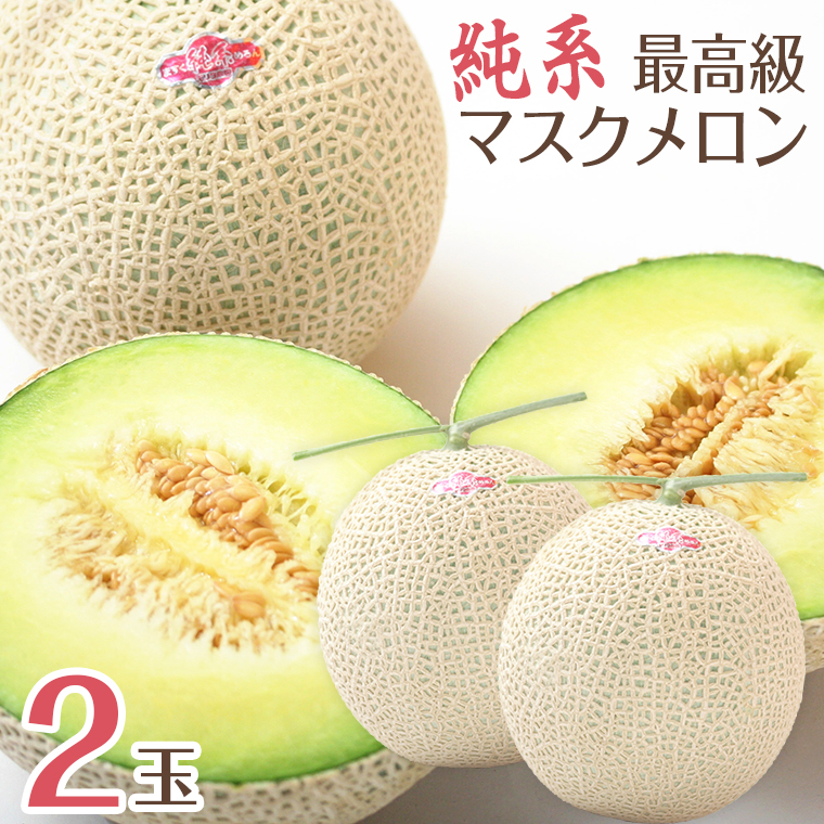 E-1403 【通年栽培】純系マスクメロン２玉（化粧箱入）【３月発送分】