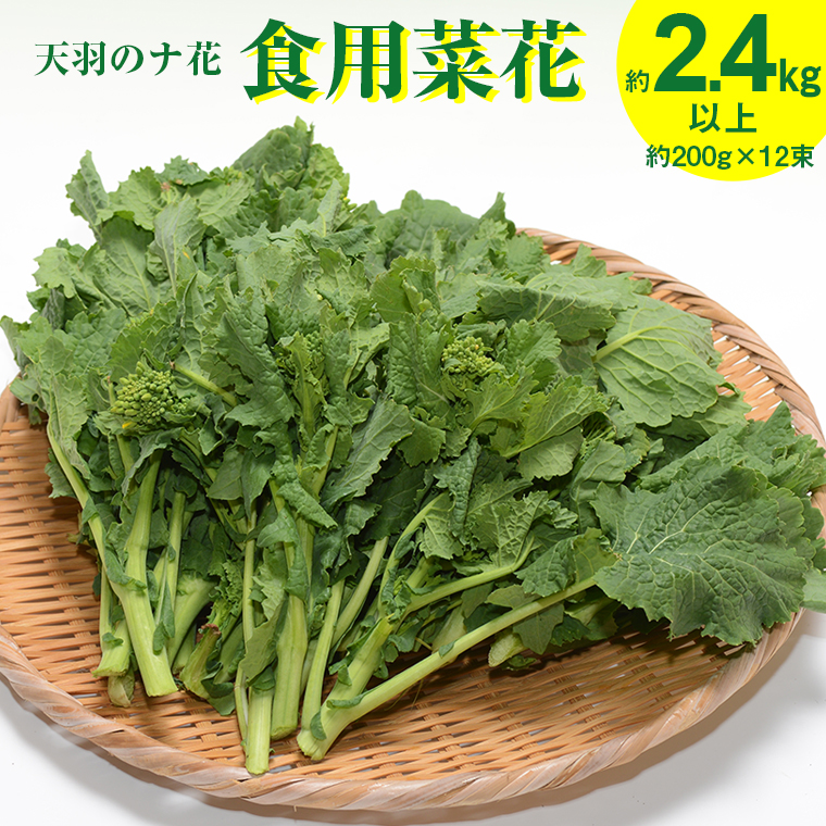 BJ-6z 春を呼ぶ「天羽のナ花」（食用菜花）約2.4kg以上（約200g×12束）