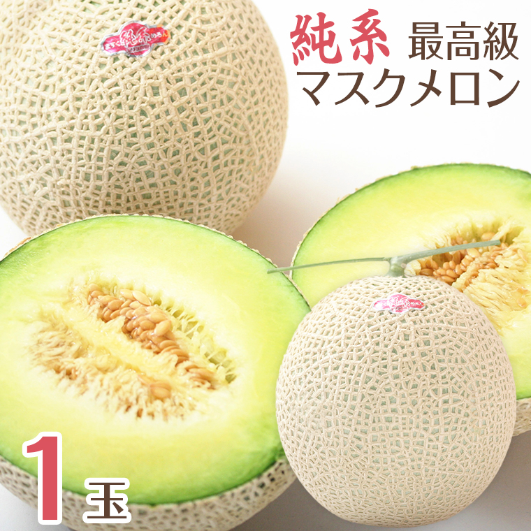 E-1367z 【最高級】純系マスクメロン１玉（化粧箱入）【６～７月発送分】