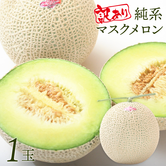 E-1867z [訳あり]純系マスクメロン1玉[6〜7月発送分]