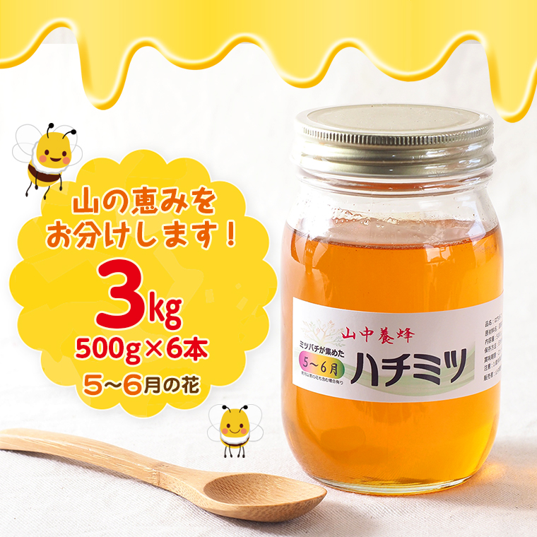Q-13z 【自然のまま】富津産ハチミツ(5~6月の花)500g×6本 計3kg