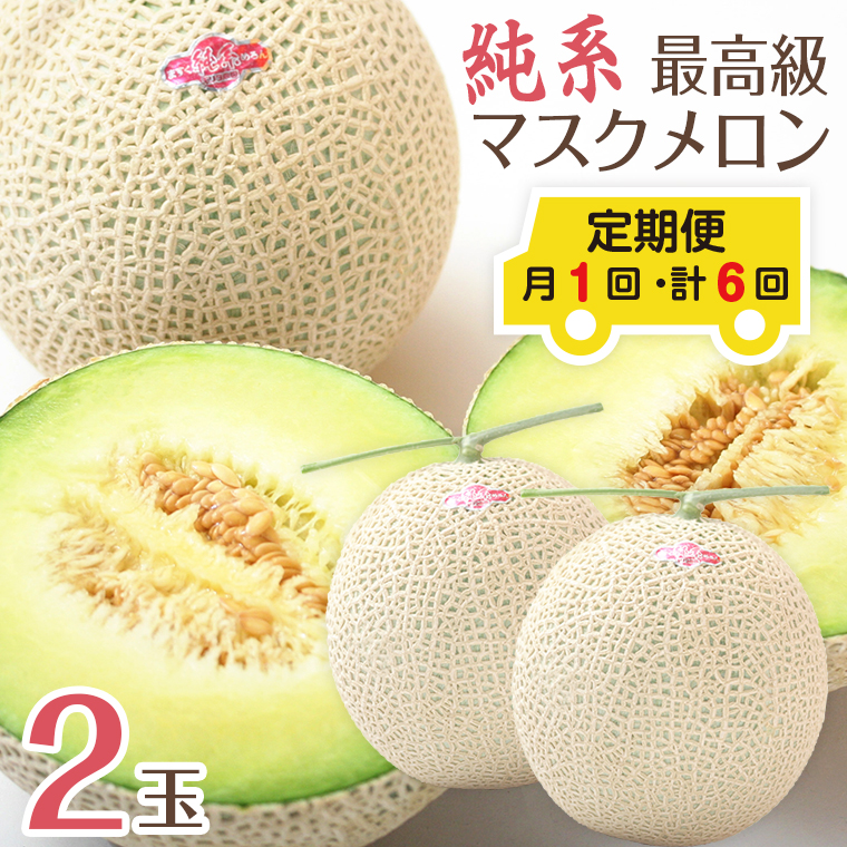 E-162549z 【定期便6ヶ月】純系マスクメロン2玉【最高級】:2025年4~9月発送分
