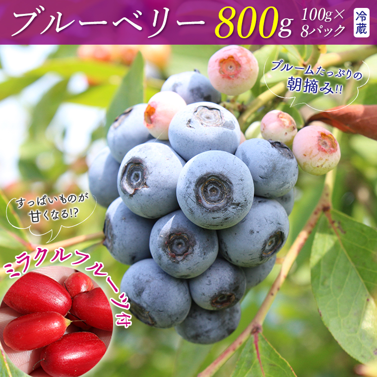 E-3cz ミラクルフルーツ付き♪朝摘みブルーベリー800gセット