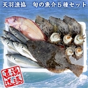 BH-4z [朝獲れ直送!]天羽漁協 旬の魚介5種セット