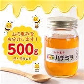 Q-7z [自然のまま]富津産ハチミツ500g(5〜6月の花)