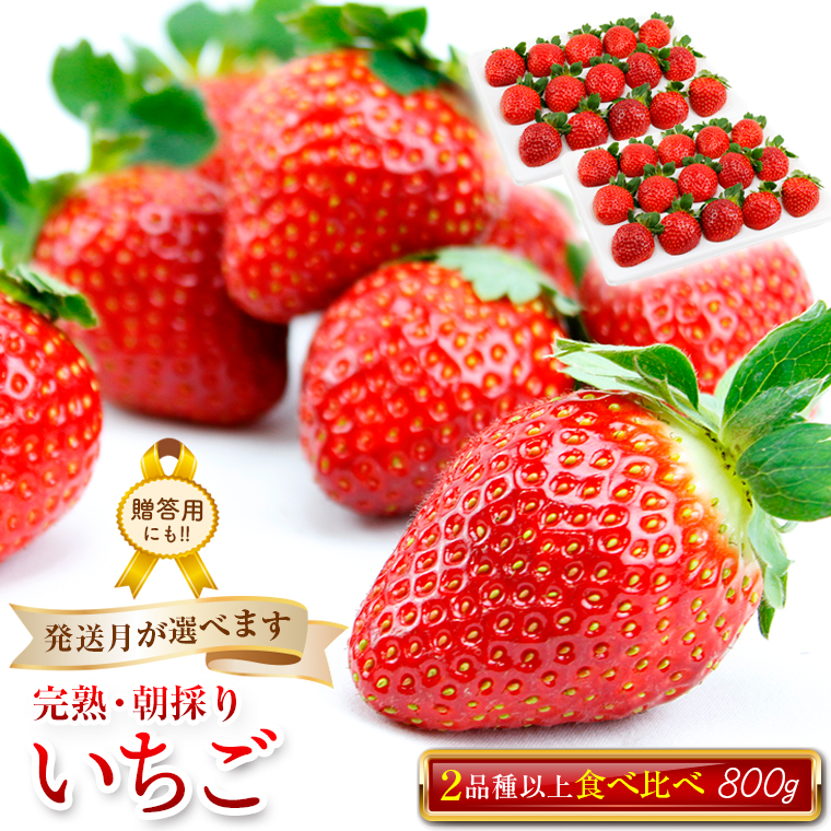 BT-181z 完熟・朝採りいちご400g×2箱（2品種以上／冷蔵） いちごやす農園【１月発送分】