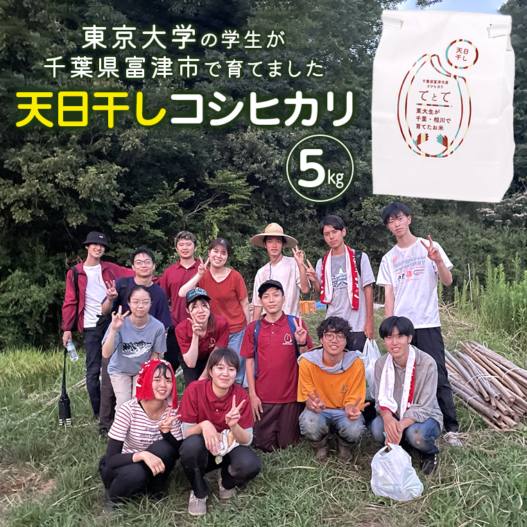AV-36r7 東大生が育てた富津産【天日干しコシヒカリ】5kg（令和7年産）