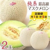 E-162616z 【定期便6ヶ月】純系マスクメロン2玉【最高級】:2026年1~6月発送分