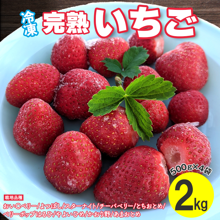 BT-15z 冷凍 完熟いちご2kg(500g×4袋)/いちごやす農園