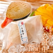J-5z [富津名物]バカ最中(10個入り)