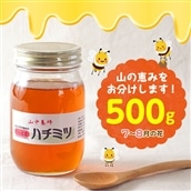 Q-8z 【自然のまま】富津産ハチミツ500g(7~8月の花)