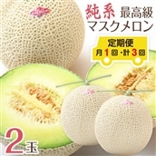 E-15250810z 【定期便３ヶ月】純系マスクメロン２玉【最高級】：2025年８～１０月発送分