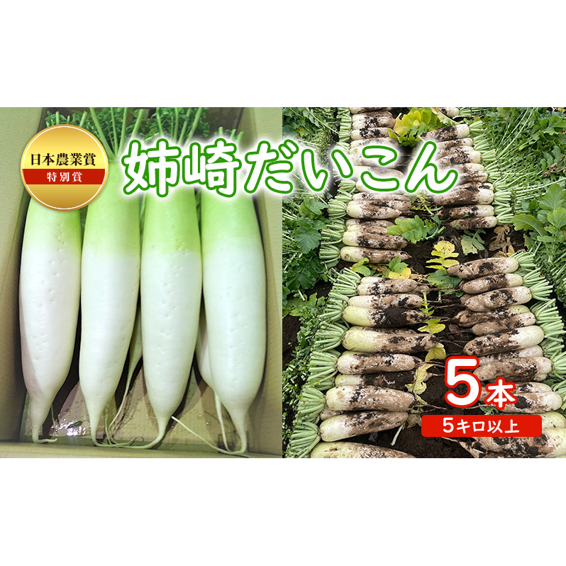 日本農業賞の特別賞 姉崎だいこん 5本 5キロ以上 野菜 大根 