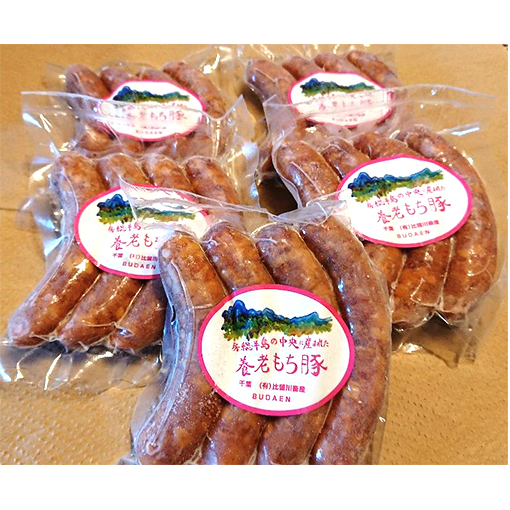 ソーセージ 4本入り 5パック 計20本 肉 お肉 豚肉 ウインナー ウィンナー おかず 惣菜 朝食 おつまみ つまみ お酒のおつまみ お酒のあて 加工品 加工食品 冷凍 冷凍配送 千葉 千葉県 市原 市原市