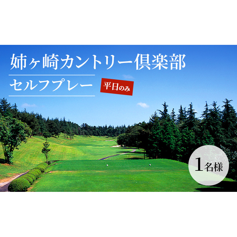 ゴルフ場 千葉 姉ヶ崎カントリー倶楽部 セルフプレー 平日のみ 1名様 ゴルフ 関東 チケット ゴルフ場利用券 プレー券 施設利用券 