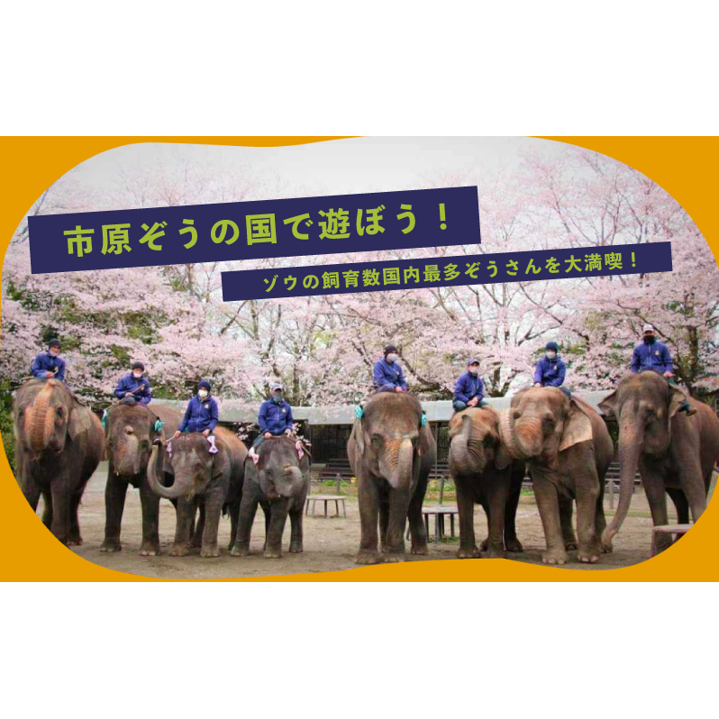 ふるさと納税 市原ぞうの国 ペア 招待券 ＋ 動物のおやつ 1つセット 動物園 千葉県市原市 - サービスクーポン、引換券