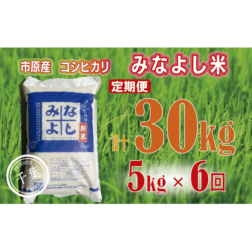 みなよし米【市原産コシヒカリ】定期便5kgを6回お届け お米 