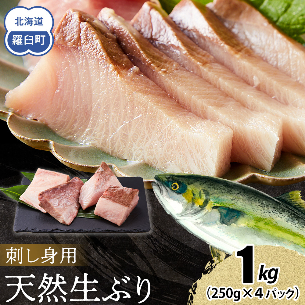 【2026年1月発送】北海道 知床羅臼産 天然ぶり刺身 1kg (250g×4パック) 魚 海産物 魚介 魚介類 ブリ 鰤 刺身 ご飯のお供 冷凍 生産者 支援 応援