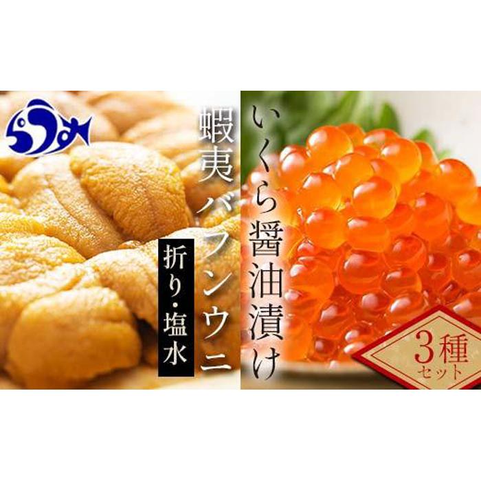 【先行/2026年1月より発送】知床羅臼町産 塩水うに(100g×1)と折うに(120g×1)と北海道産いくら醤油漬け(250g)のセット 北海道産 知床羅臼産