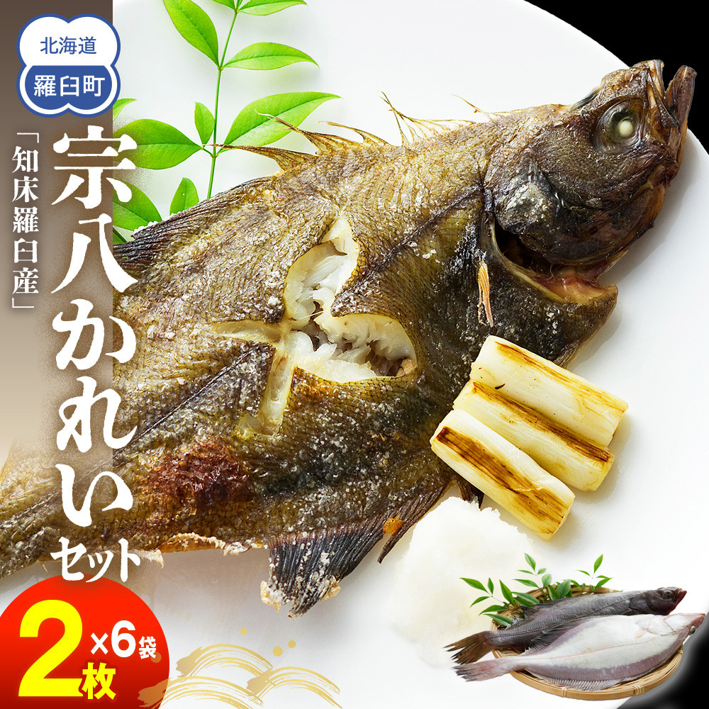 知床羅臼産宗八かれいセット  カレイ 鰈 一夜干し 干物 おかず ごはんのお供 お酒の肴 おつまみ アテ 魚 魚介 魚介類 海産物 海鮮 焼き魚 焼くだけ グリル 生産者 応援 支援