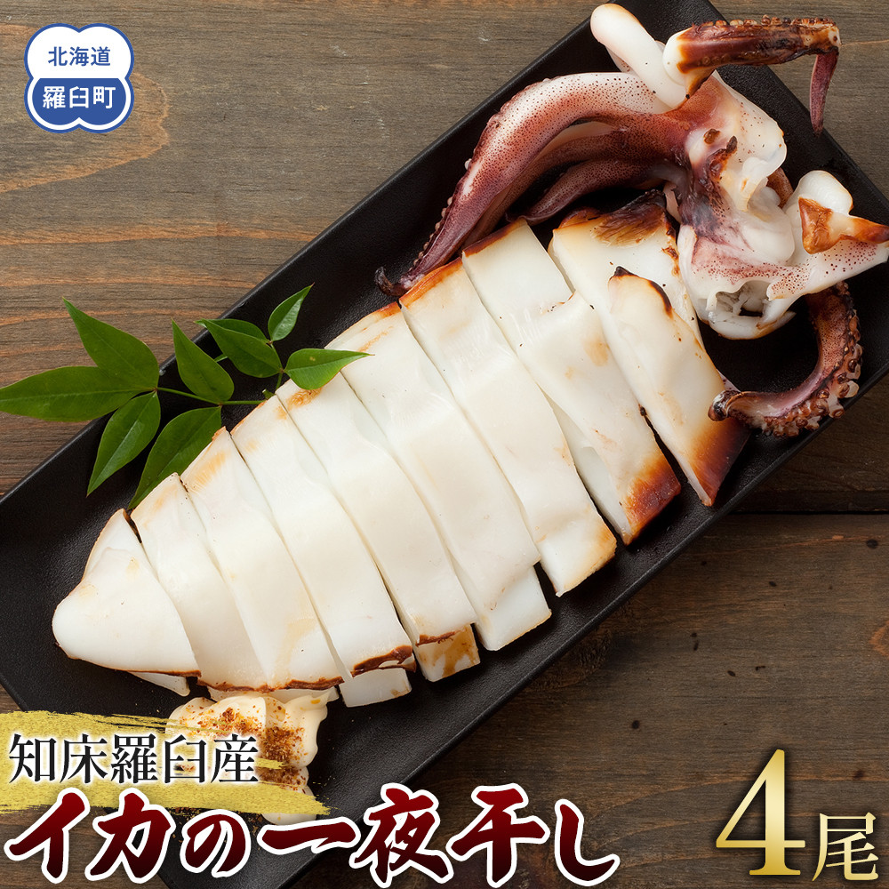 数量限定 渋谷さん家の知床羅臼産 イカの一夜干し 中サイズ 4尾(200g前後×4パック) 生産者 支援 応援