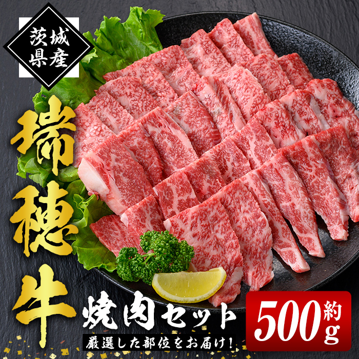 瑞穂牛焼肉セット 約500g 牛肉 やきにく バラ 肩ロース 肩 肩バラ トモサンカク イチボ ブランド牛 冷凍配送 茨城県 お中元 焼肉の日 敬老の日 瑞穂牛 焼肉 10種 盛り合わせ 食べ比べ 国産 肉 BBQ セット