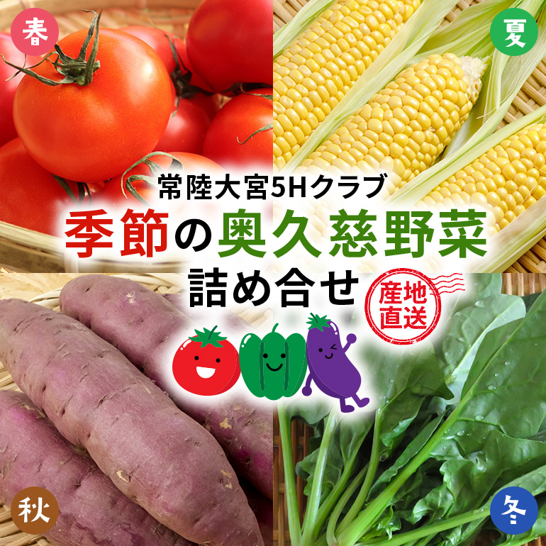 【産地直送】季節の奥久慈野菜 詰め合せセット(春、夏、秋、冬) 野菜 野菜セット 季節 セット 特産 詰め合わせ 国産 旬 おまかせ お楽しみ 直送 【常陸大宮5Hクラブ】【ho1483】