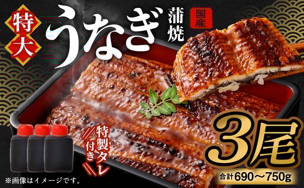 国産 うなぎ 蒲焼 3尾 (690g~750g)と 特製タレ 3個 セット 鰻 ウナギ 蒲焼き うなぎ蒲焼 セイロ蒸し せいろ蒸し タレ付 冷凍