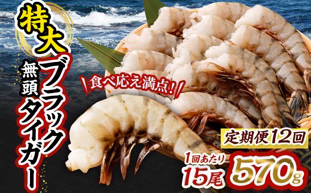 【12回定期便】特大 ブラックタイガー 無頭えび 570g前後(15尾)×12回 |海老 えび エビ ブラックタイガー 海鮮 魚介 殻付き 冷凍 大阪府 阪南市