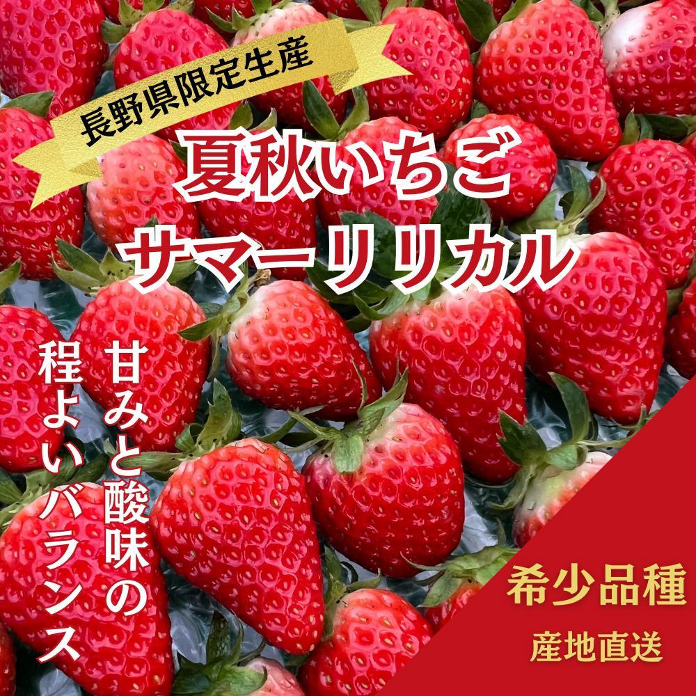 【すえひろファーム　いちご園】夏秋いちご　サマーリリカル（長野県限定生産）1箱（30～36粒）×2　苺 イチゴ ストロベリー 果物 フルーツ 7月 8月 北アルプス 雪解け水 信州 スイーツ
