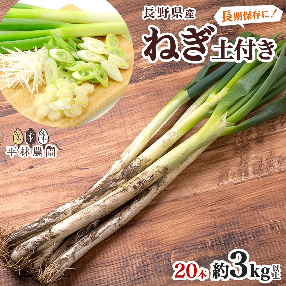 ねぎ 土付き20本 3kg以上 ｜長ねぎ ネギ 葱 野菜 国産 新鮮 常備 保存 土付き 鍋 味噌汁 すき焼き 薬味 料理 お裾分け 贈り物 長野県産 送料無料 産地直送 平林農園 長野県 大町市