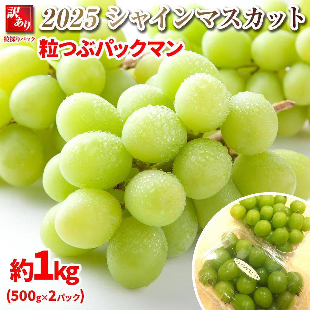 B 2025  シャインマスカット　粒つぶパックマン【訳ありパック】 2パック　約1キロ　長野県産【10月初旬頃～順次発送予定 】国際特許有機肥料栽培