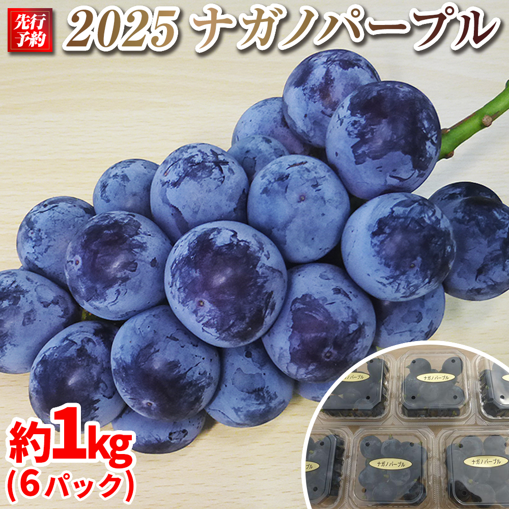 【先行予約】2025 P ナガノパープル 粒採り6パック 約1キロ 長野県産 【9月下旬頃~順次発送予定】国際特許有機肥料栽培