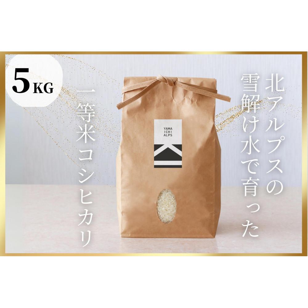 北アルプスの雪解け水で育った一等米コシヒカリ 5KG