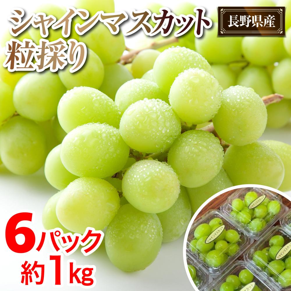 2025  P シャインマスカット 粒採り6パック  約1kg 【10月初旬頃~順次発送予定 】長野県産 国際特許有機肥料栽培