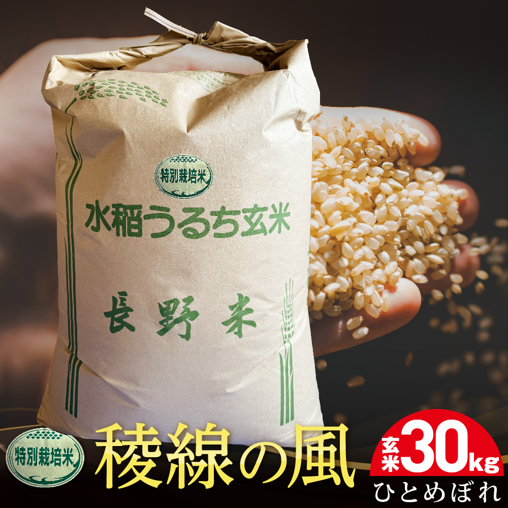 特別栽培米 稜線の風(ひとめぼれ)玄米 30kg 【2025年9月下旬頃~順次発送予定】