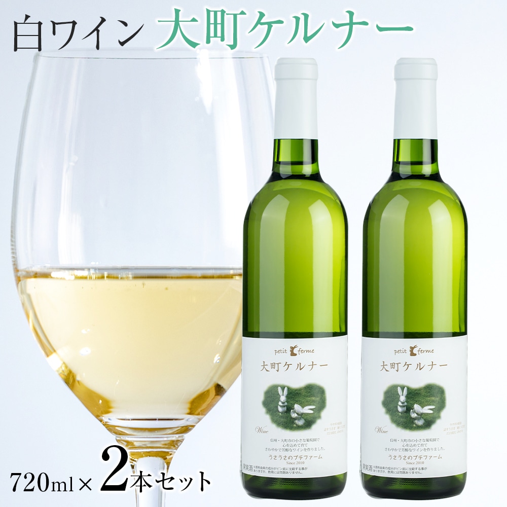 酒 ワイン 白ワイン セット ２本 × 720ml 長野県産