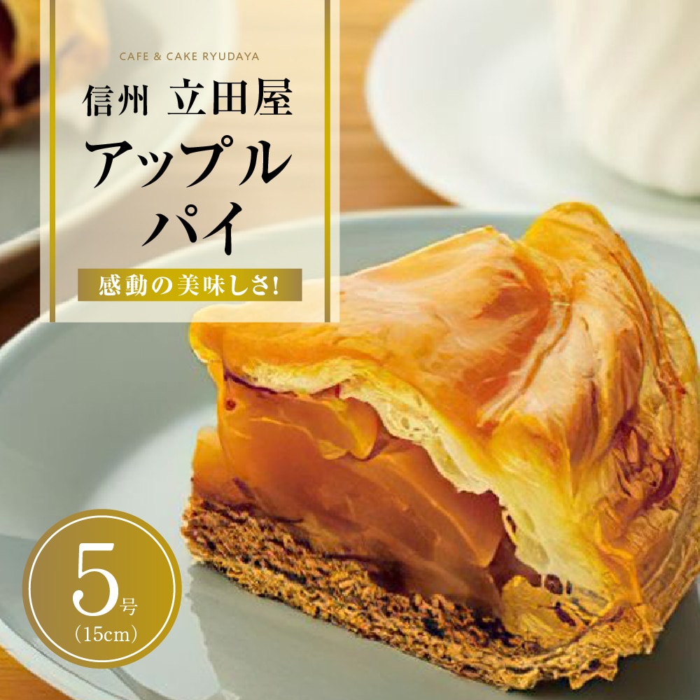 お菓子 焼菓子 アップルパイ 5号 ( 約15cm ) 1台 信州 立田屋