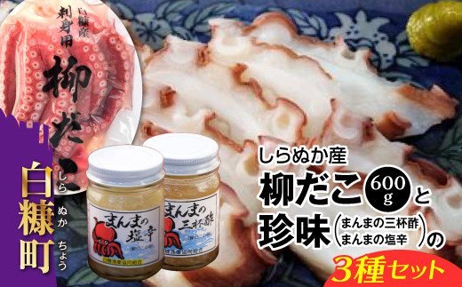 しらぬか産柳だこ(600g)と珍味(まんまの三杯酢・まんまの塩辛)の計3種セット_I015-0469