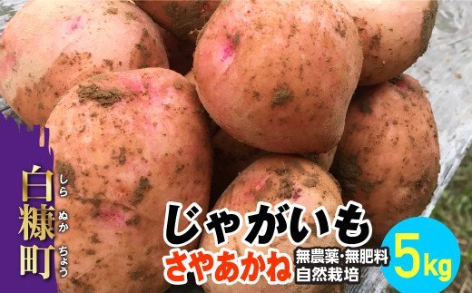 じゃがいも(さやあかね)無農薬・無肥料・自然栽培・北海道産【5kg】_I007-0481