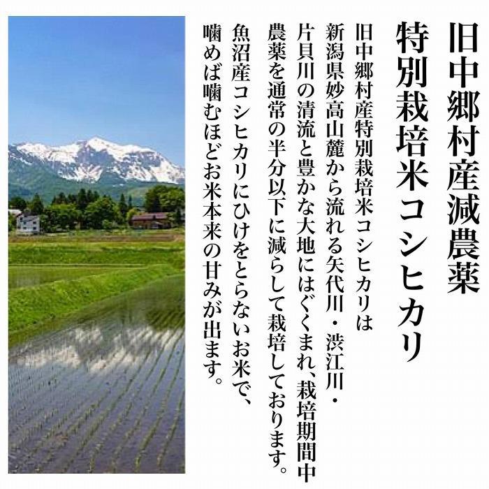 12か月定期便】】新潟県旧中郷村減農薬特別栽培米コシヒカリ 5kg（5kg×1袋） 新潟県 JRE MALLふるさと納税