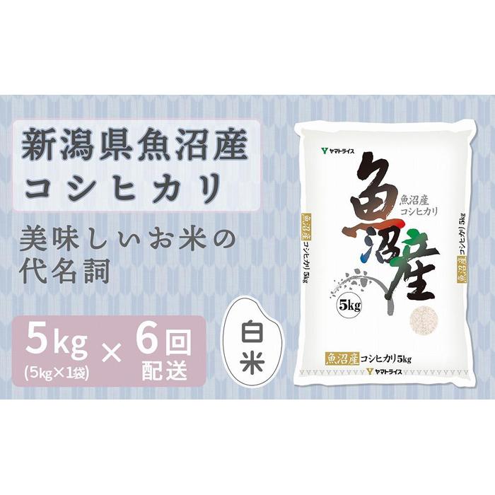 【定期便全6回】新潟県魚沼産コシヒカリ5kg（受注の翌月から毎月配送）｜新潟県　新潟　魚沼　こしひかり　米　おこめ　お米