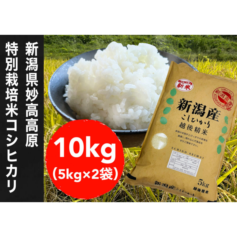 【令和7年度産新米】新潟県妙高高原減農薬特別栽培米コシヒカリ 10kg