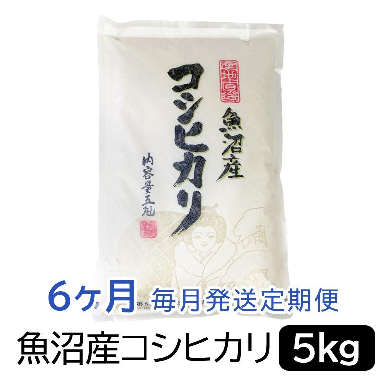 お米マイスター厳選！魚沼産コシヒカリ５kg×6ヶ月毎月発送　定期便