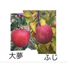 岩手県岩泉町産りんご 2品種食べくらべ!【サンふじ・おおゆめ】(1.5キロ:約4個)【1542938】